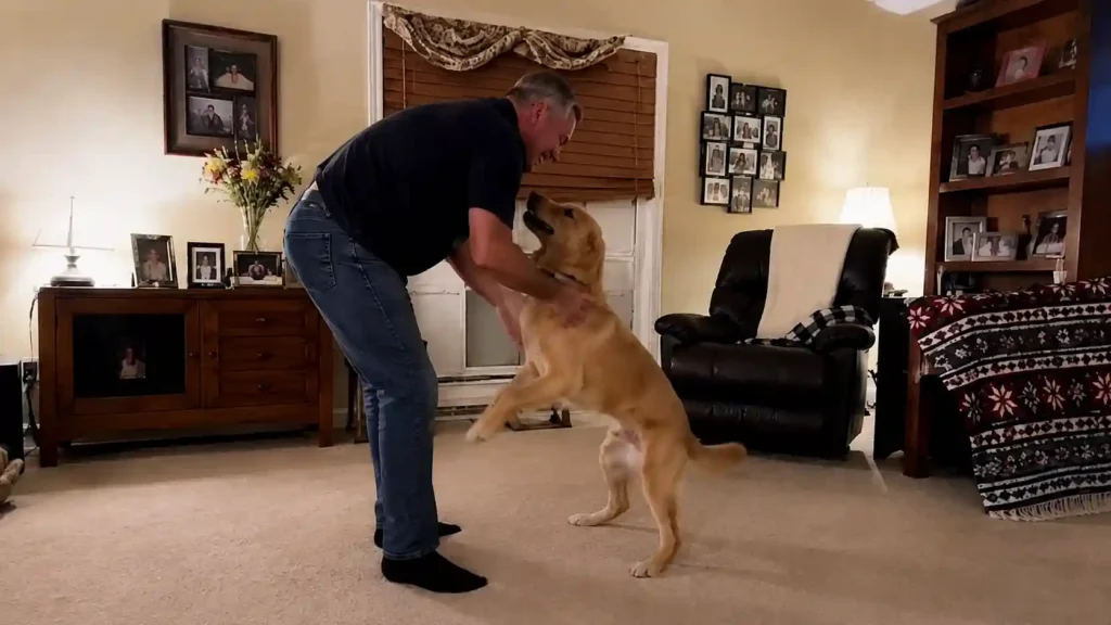 7 Real Rescue Dog Moments That Prove Loyalty Runs Deeper Than We Ever Expect